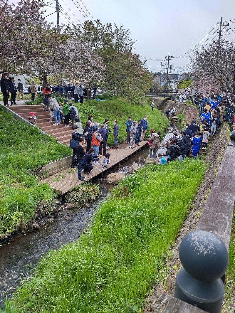 平瀬川桜祭り