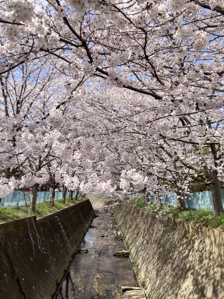 ２年間の振り返り