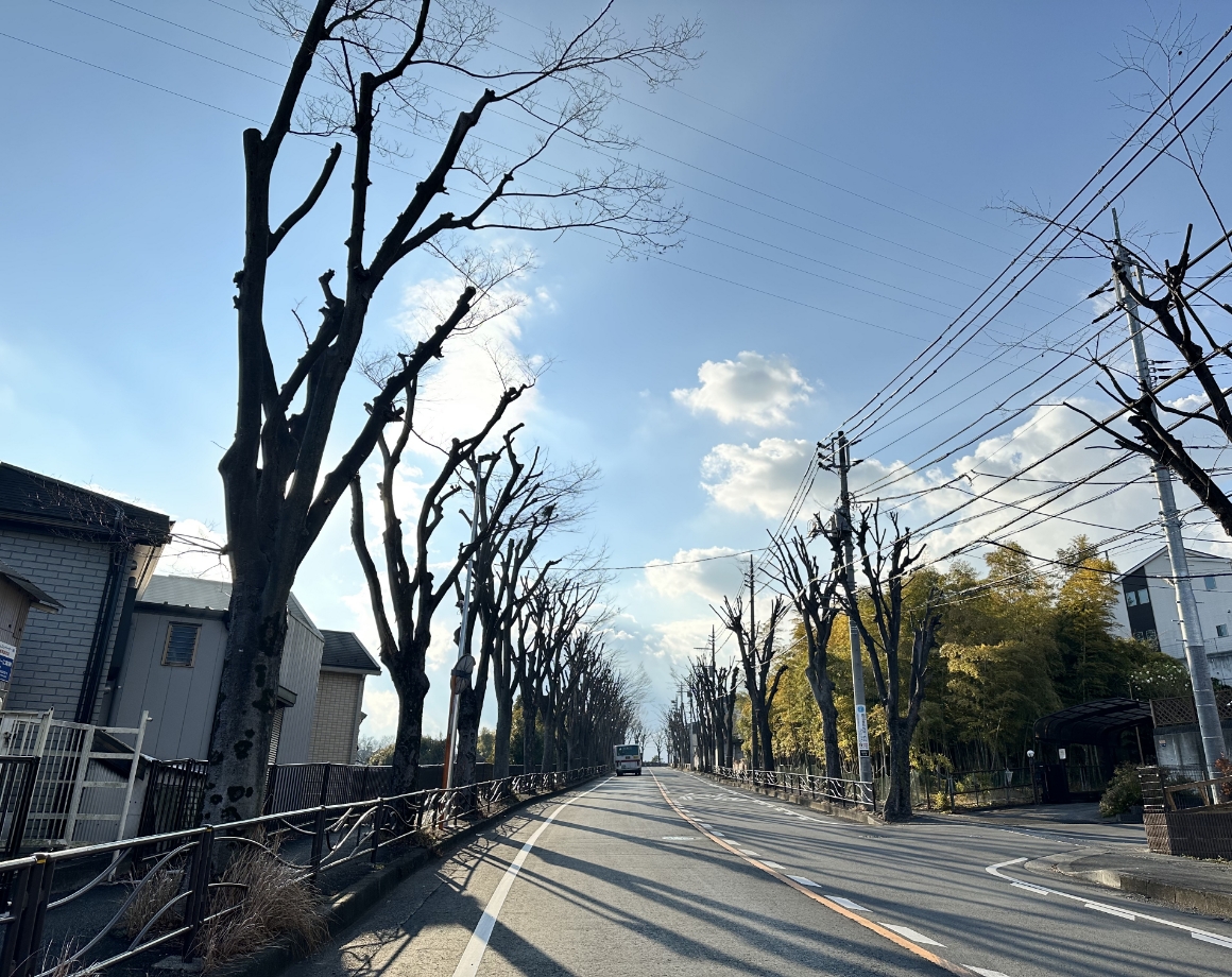 西野川（にしのがわ）とは