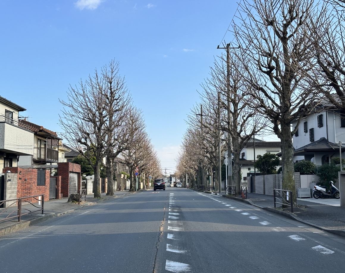 野川台（のがわだい）とは