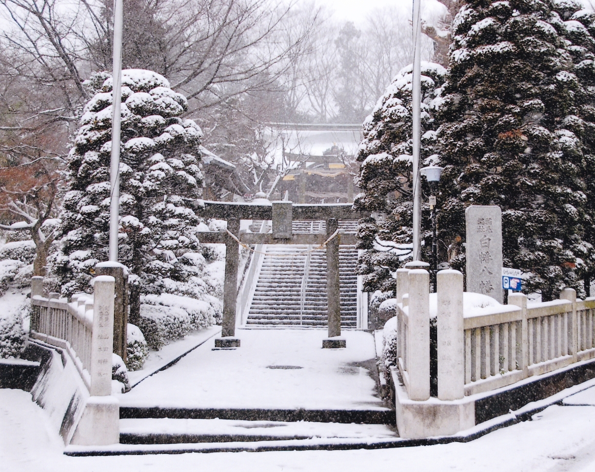 白幡台（しらはただい）とは