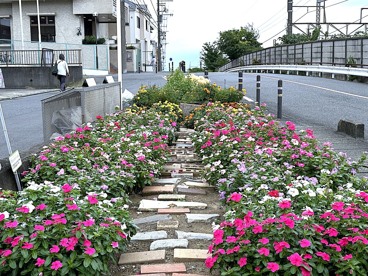 お手入れしている花壇の様子