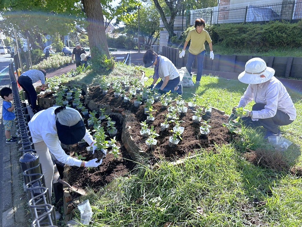 美化活動の一環の公園花壇