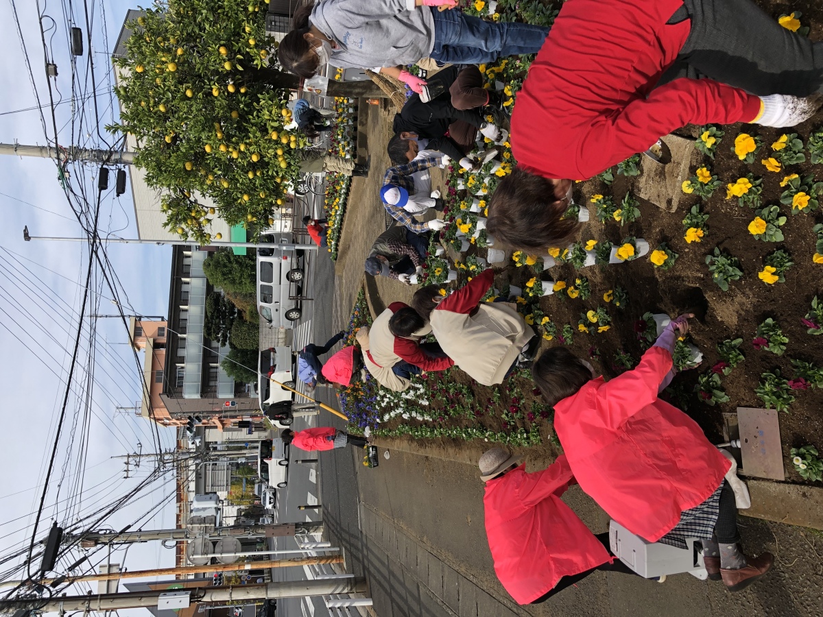 花壇整備（花の植え替え）（野川町内会）