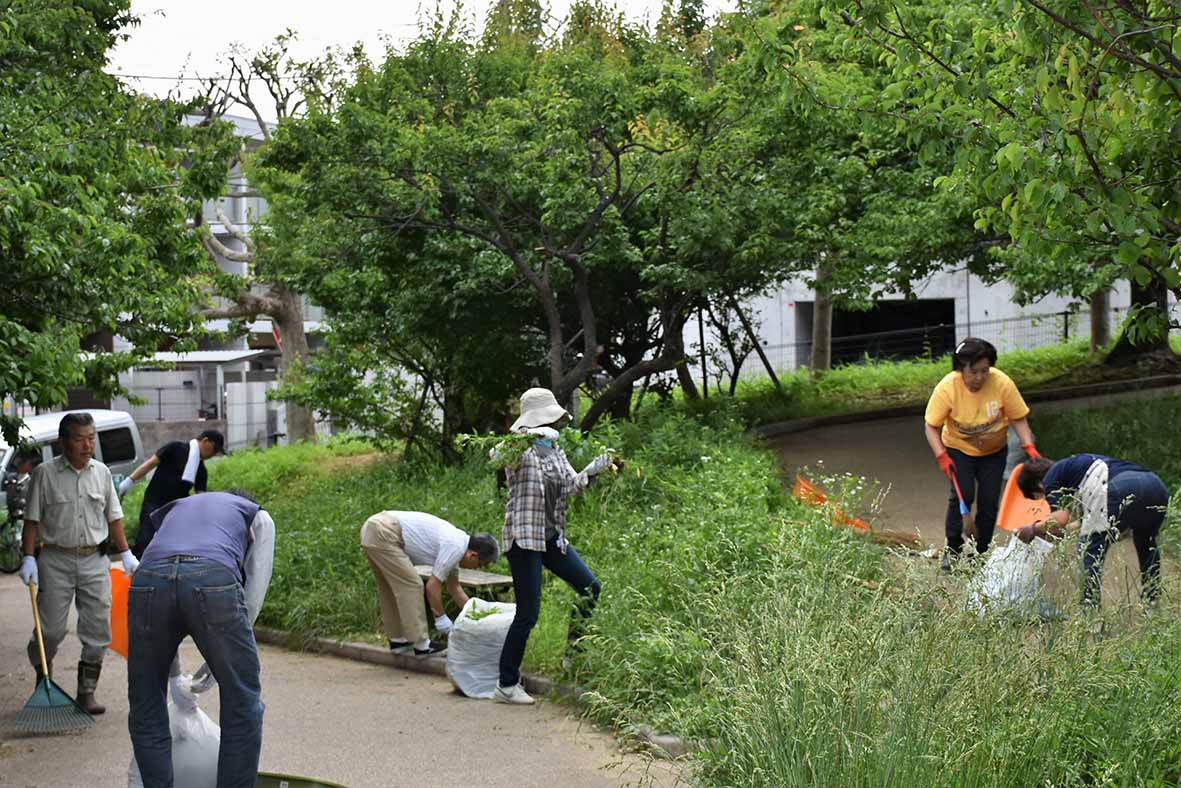 つつじ公園の清掃（有馬町会）