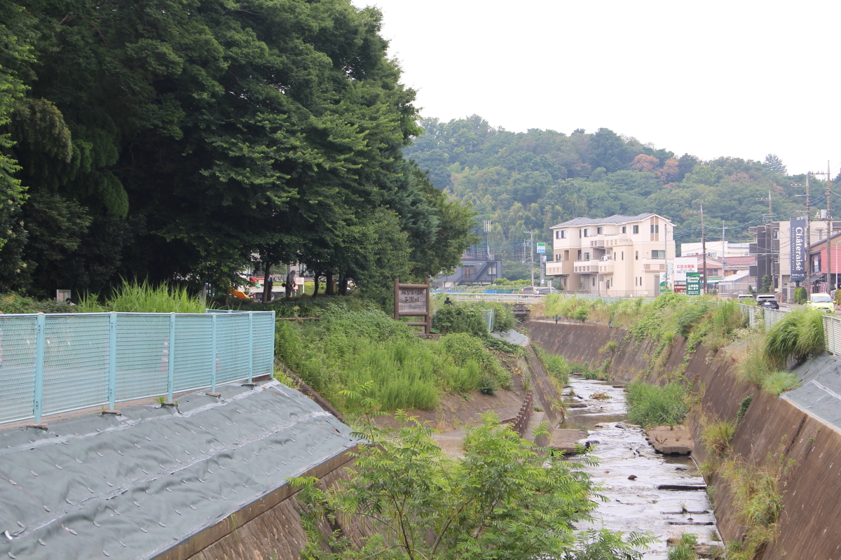 日向も日影も中学生も参加する美化活動